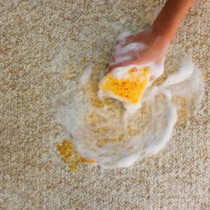 How to Remove Slime from Carpet ? The Secret to Keeping Your Carpet Clean and Tidy!插图