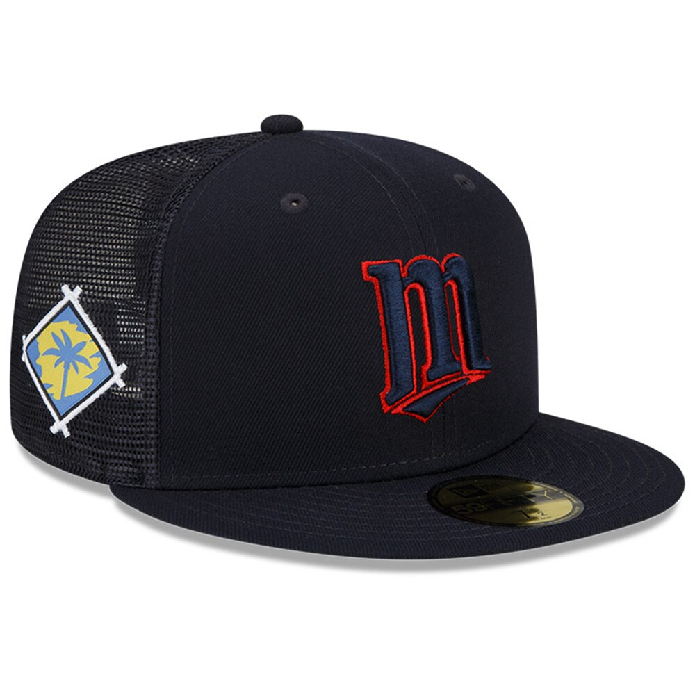 mn twins baseball cap